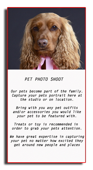 pet photo